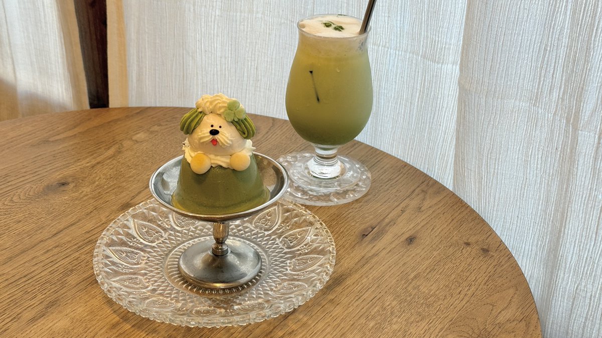 takashiiiiicafe's tweet photo. かわいいプリンがたべられると噂の池袋のサニーデイズの抹茶プリンがかわいすぎた...マイルドな抹茶はたべやすいし、むっちりプリンとサクサクのメレンゲがガチであう！天才すぎるかわいさなのでぜひっ！ https://t.co/nNpohIEcgp