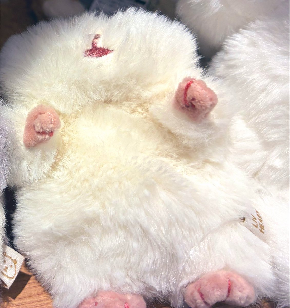 chixhlxhool's tweet photo. 出かけた先で可愛いハムスターのぬいぐるみに一目惚れして買ったの！
ふわふわでかわゆき🫶🏻💖
 #レズビアンさんと繋がりたい 
#wlw https://t.co/SXkhx7IXVK