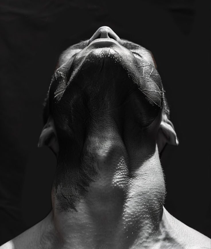 HOMBREESTOICOS's tweet photo. The only things you control are your mind, your decision, and your character. Everyone else is noise. And he who lives at the mercy of the noise lives as a slave. Choose your course. Stand firm. A will that depends on others never leads; a will that relies on itself never breaks. https://t.co/rRq7gwz7nr