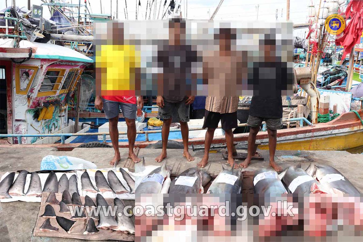SoitStaff's tweet photo. FOUR FISHERMEN ARRESTED WITH OVER 223.94 KILOGRAMS OF ILLEGAL SHARK FISH   Read More=>>> https://t.co/dqOaYdCSIr
#coastguard #sharkfish #arrest https://t.co/9mVu1mIlEe