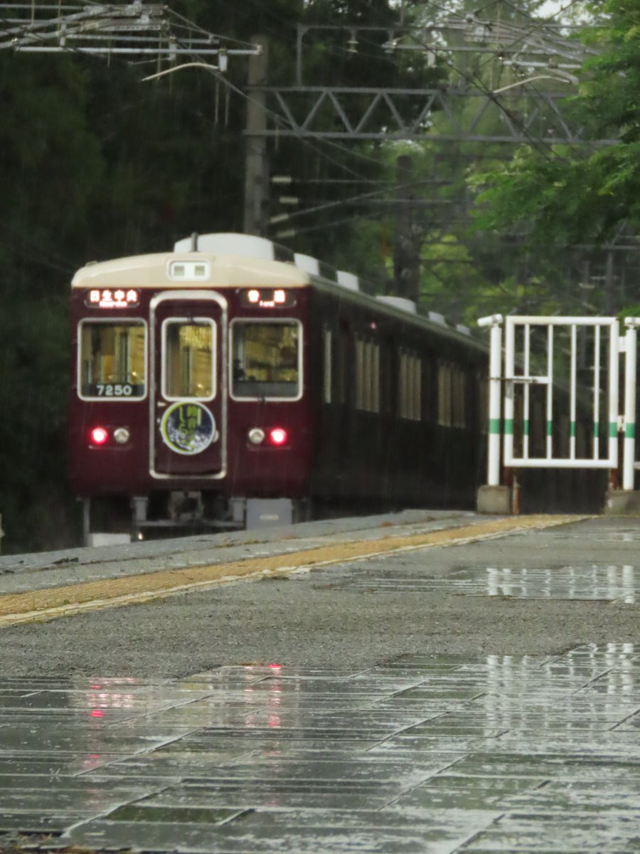 hati_8302's tweet photo. 緑に囲まれて走ってくるのせでん風鈴電車... 1700系も見ようと待っていましたが雨が降ってきました
2026/7/28 撮影 https://t.co/yMhmhuHqrh