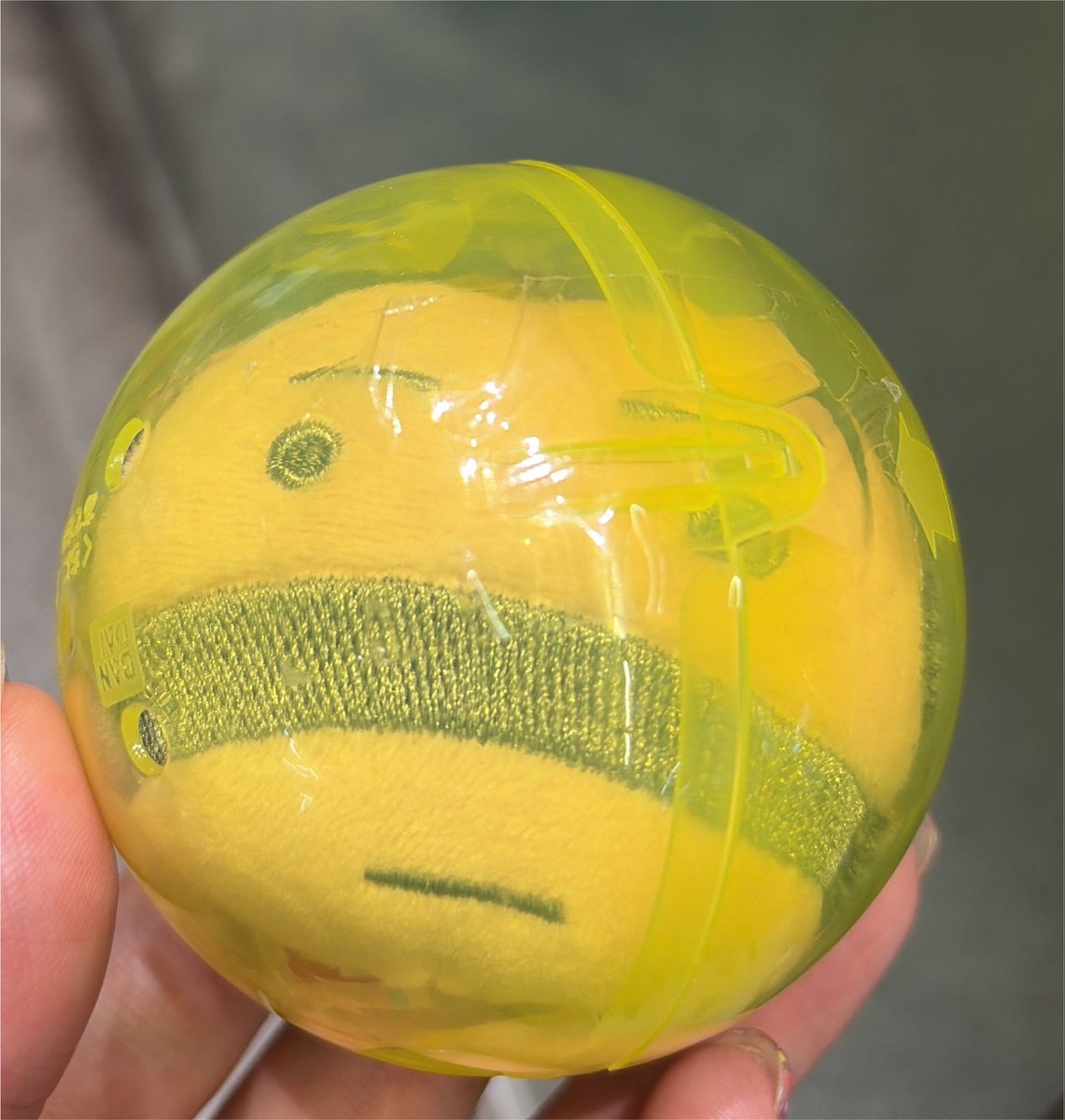 0222_ann's tweet photo. たまごっち ぬいぐるみマスコット キャリーケース 交換

［譲］おやじっち(ぬいぐるみキャリーケース)

［求］キャリーケーススケルトン以外

郵送での交換をお願いします✉️ https://t.co/JuLHdpURII