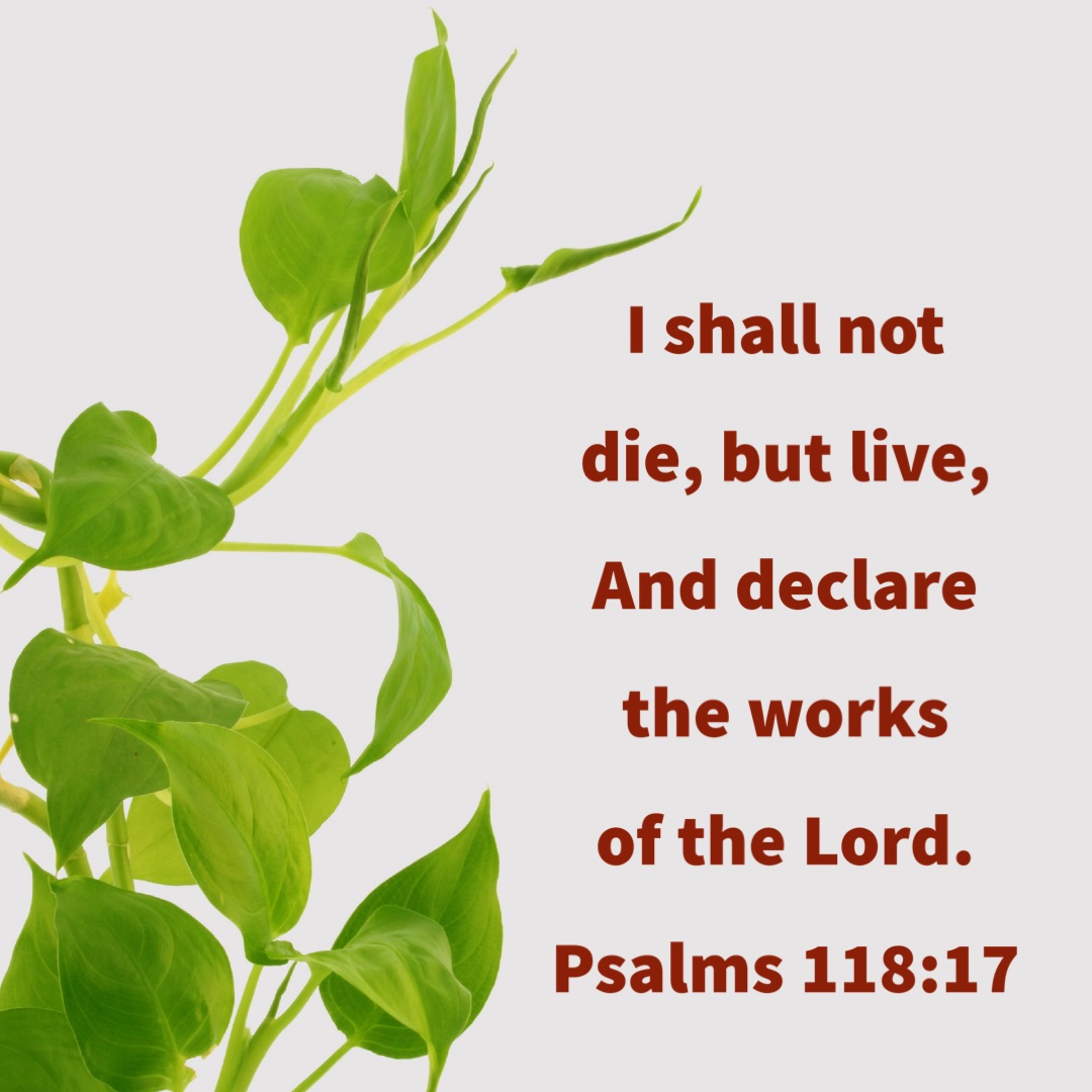 tweets_mb's tweet photo. #Live #WorksOfTheLord https://t.co/k9WYVui0hg