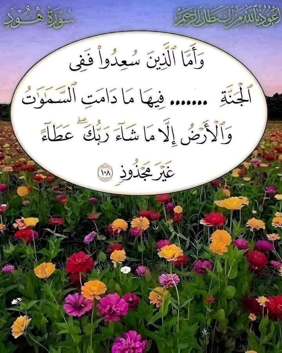nonealmila's tweet photo. واما الذين سعدوا ففي الجنة....  اكمل الايه الكريمة واختبر حفظك 
كود خصم ليفل شوز PLB44 https://t.co/sUBseV0z1O