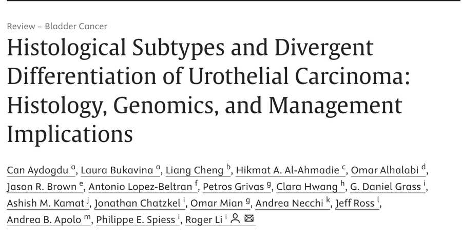 drenriquegrande's tweet photo. ⚡️ Histological subtypes of urothelial carcinoma — micropapillary, plasmacytoid, sarcomatoid, squamous — represent biologically distinct phenotypes that do not conform to a one-size-fits-all approach.

Frequently understaged on TURBT, with variable response to standard systemic therapy.

@EuropeanUrology #BladderCancer

https://t.co/NnF32TmzJn