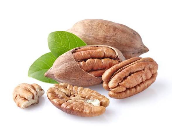 Sainte_Hermine5's tweet photo. La noix de pécan : le super-aliment oublié qu'il vous faut absolument intégrer dans votre routine.

On parle toujours des amandes ou des noix classiques, mais les pécans cachent des trésors nutritionnels incroyables.

Voici leurs 6 vertus magiques et comment bien les consommer.🧵 https://t.co/x8da117gMD