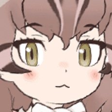 Post by 高菜ごはん on X: にゃ