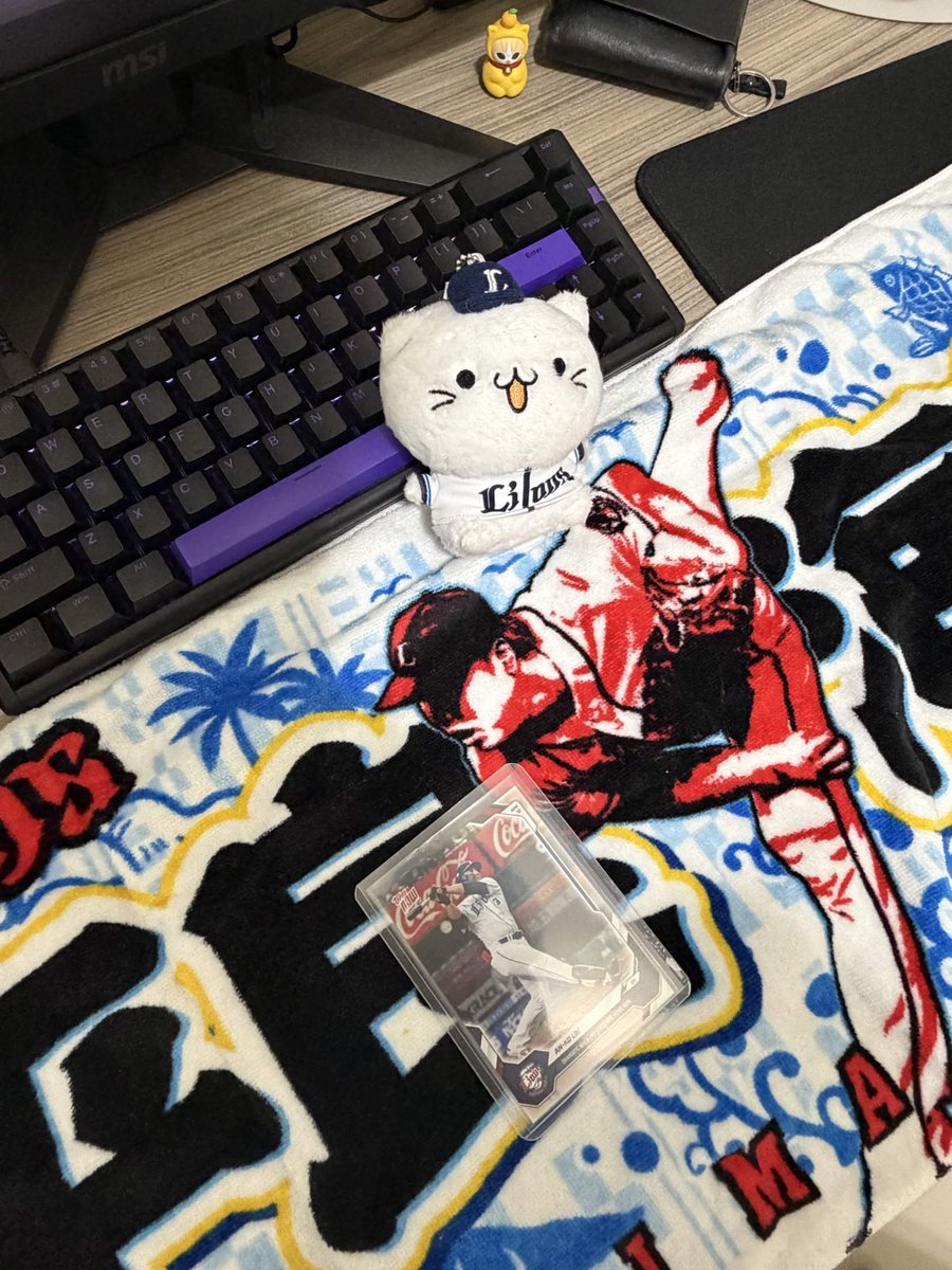 Darkcat16049848's tweet photo. 皆さん、こんにちは！台湾の大学生です。林安可選手が埼玉西武ライオンズに加入して以来、私はライオンズのファンになりました。彼を応援するために、日本へ行って3日間の試合を観戦することに決めました！そこで、いくつか質問があります。
#seibulions #打破 #西武 https://t.co/pk19cvAhGS