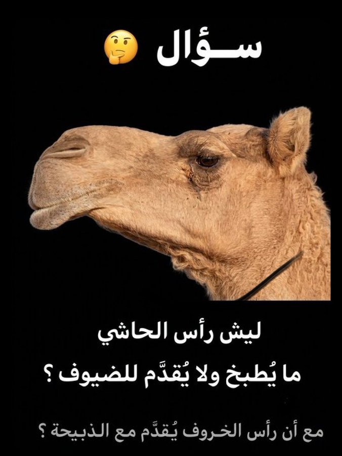 wswsm05's tweet photo. سؤال اليوم ليش رأس الحاشي ما يُطبخ ولا يُقدم للضيوف مع أن رئس الخروف يُقدم معى الذبيحه؟؟!..... https://t.co/xdCfmgfOD0