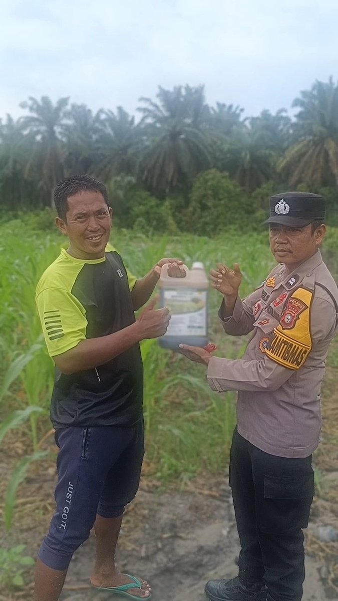 standbay21's tweet photo. Bhabinkamtibmas Kampung Rawang Kao Aiptu Wandry Polsek Lubuk Dalam Polres Siak Polda Riau Cek tanaman jagung pipil dan Menyerahkan bantuan pupuk cair organik untuk mendukung Ketahanan Pangan
#ketahananpangan  #swasembadapangannasional #bidhumaspoldariau #greenpolicing https://t.co/krOBJtUEue