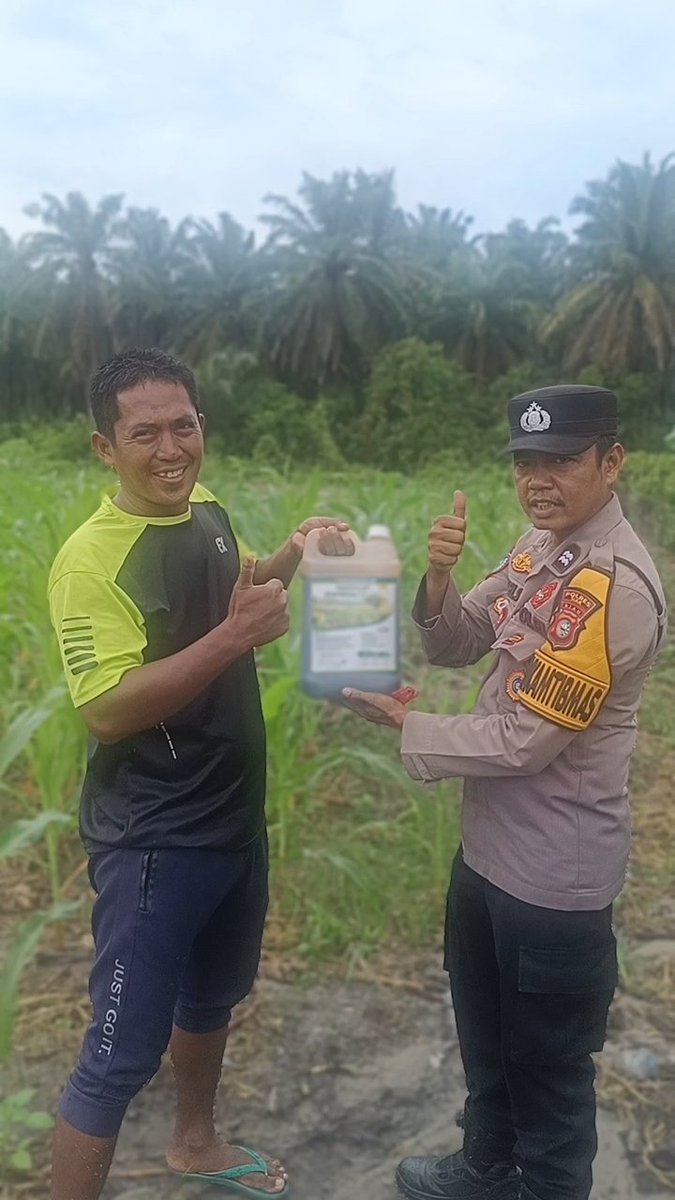 standbay21's tweet photo. Bhabinkamtibmas Kampung Rawang Kao Aiptu Wandry Polsek Lubuk Dalam Polres Siak Polda Riau Cek tanaman jagung pipil dan Menyerahkan bantuan pupuk cair organik untuk mendukung Ketahanan Pangan
#ketahananpangan  #swasembadapangannasional #bidhumaspoldariau #greenpolicing https://t.co/krOBJtUEue
