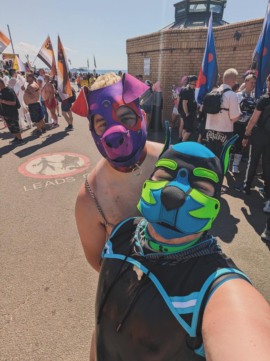Smol_Pup_Sammy's tweet photo. A few pics from Brighton Pride! Had such an amazing weekend! π³οΈβππ³οΈββ§οΈπ©΅π
#pupplay #pupplaycommunity #transpup #brightonpride https://t.co/khSbBpOs75