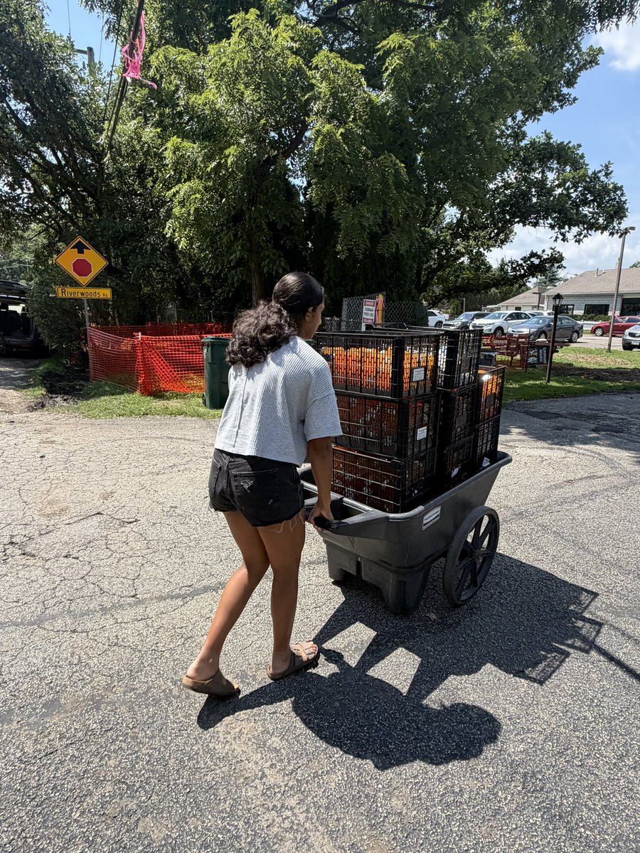 VolunteerVibe's tweet photo. August 4th, Proud to donate cleaned, label-free pill bottles to Orphans of the Storm Animal Shelter to be repurposed in caring for animals in need. It’s rewarding to know that something as simple as a reused pill bottle can support both sustainability and animal care. https://t.co/MTWt5vstBQ