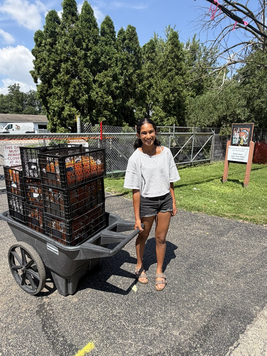 VolunteerVibe's tweet photo. August 4th, Proud to donate cleaned, label-free pill bottles to Orphans of the Storm Animal Shelter to be repurposed in caring for animals in need. It’s rewarding to know that something as simple as a reused pill bottle can support both sustainability and animal care. https://t.co/MTWt5vstBQ