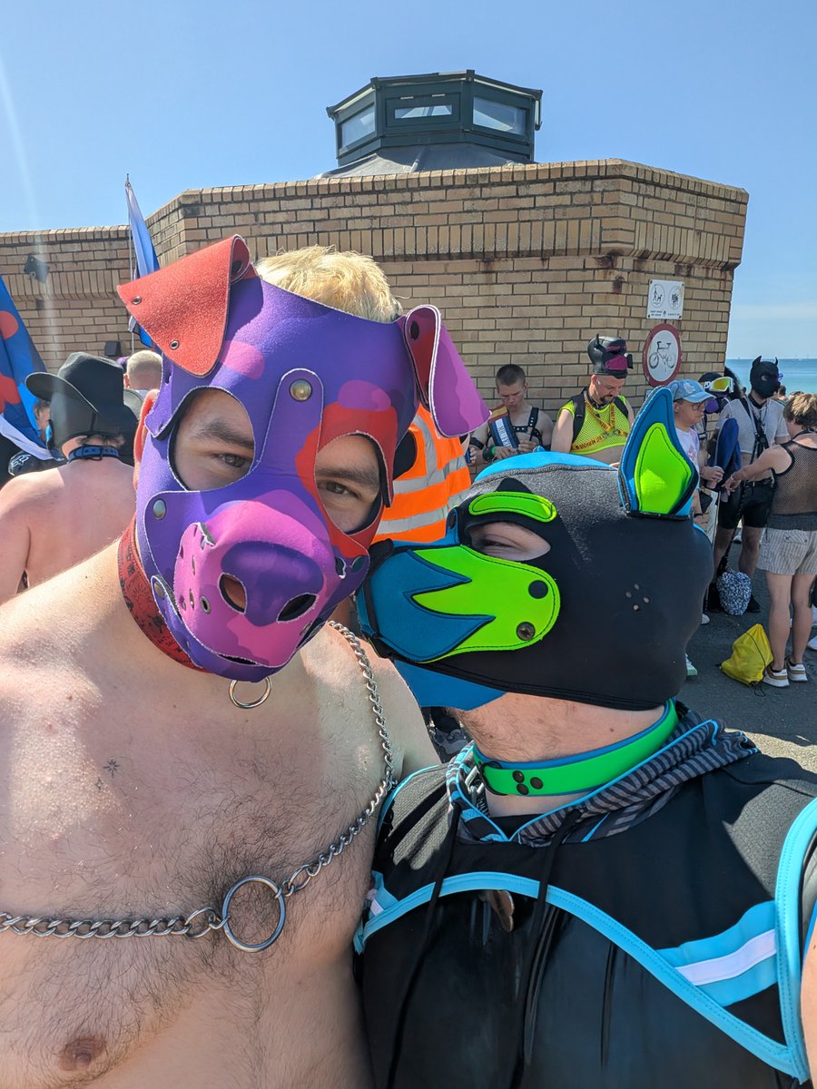 Smol_Pup_Sammy's tweet photo. A few pics from Brighton Pride! Had such an amazing weekend! π³οΈβππ³οΈββ§οΈπ©΅π
#pupplay #pupplaycommunity #transpup #brightonpride https://t.co/khSbBpOs75