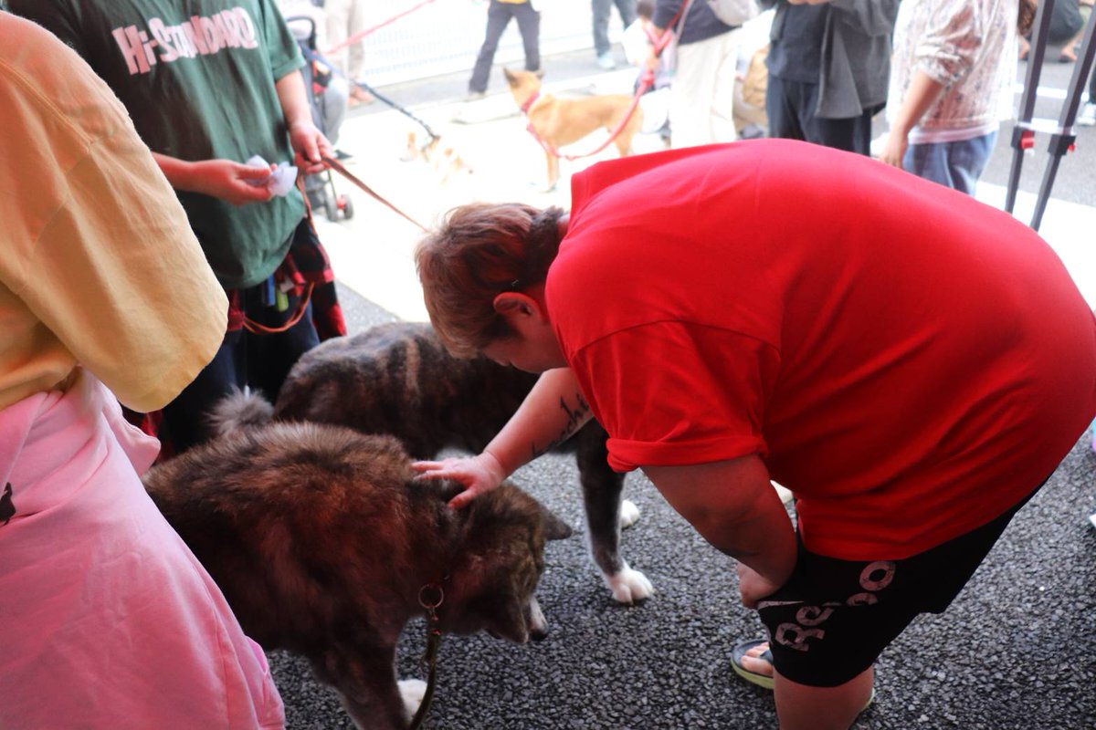 marvelous120888's tweet photo. @akitainu_shuma しゅうま君いつも譲渡会で会うの
とても楽しみでした

写真もいっぱい
撮らせてくれてありがとう❤️

いつも癒しをありがとう♥️ https://t.co/Kspa9K8AKy