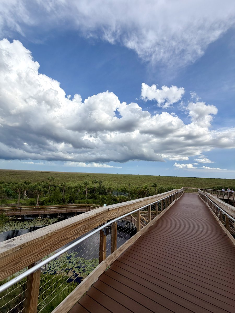 OfficialJoelF's tweet photo. Views from the top of the newish observation tower overlooking the Everglades on I-75 just ~11 miles west of US 27. This opened last year but I’m just now getting to check it out 🐊 🌳 

It replaced several parking spaces with a long boardwalk featuring several educational panels, 600+ native trees, 5 unique habitats and 1,469 ft of water line