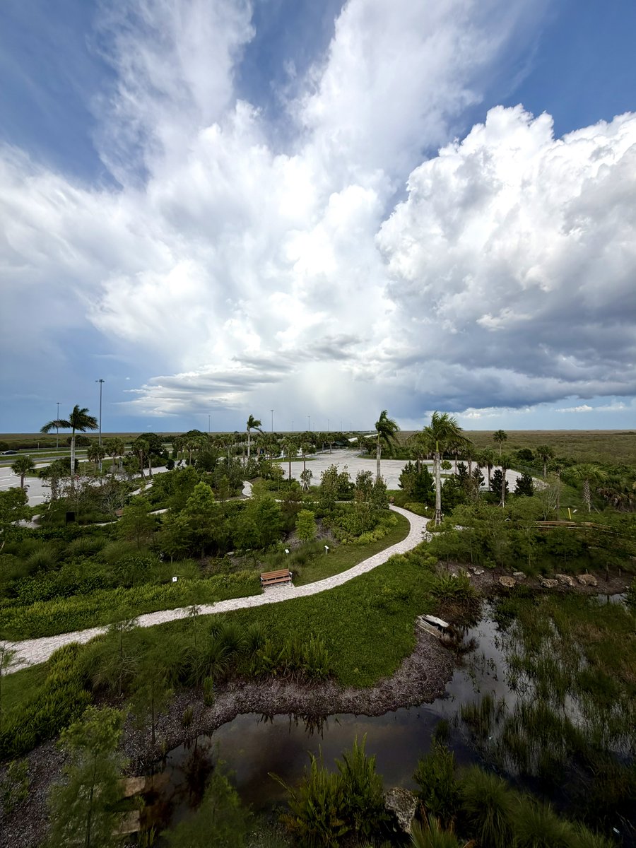 OfficialJoelF's tweet photo. Views from the top of the newish observation tower overlooking the Everglades on I-75 just ~11 miles west of US 27. This opened last year but I’m just now getting to check it out 🐊 🌳 

It replaced several parking spaces with a long boardwalk featuring several educational panels, 600+ native trees, 5 unique habitats and 1,469 ft of water line
