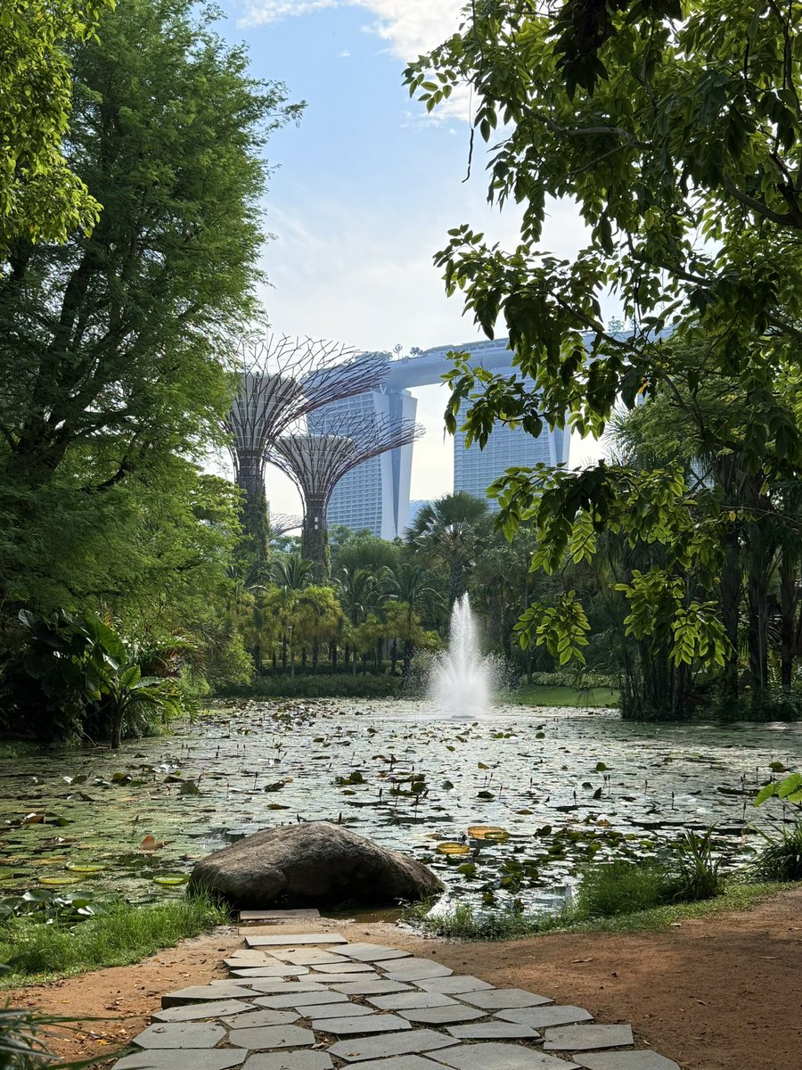 aklibasindaolan's tweet photo. Singapore - an artificial country https://t.co/FQmaPBlbRG