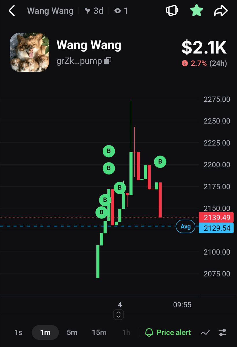 bangu1mac's tweet photo. Up and down trend is healthy ,bring your courage now 

grZkYn2XDmDqNj8q2FbWtvXPKU1WF2RwZwbSTmSpump https://t.co/G1Qp9DAFKF