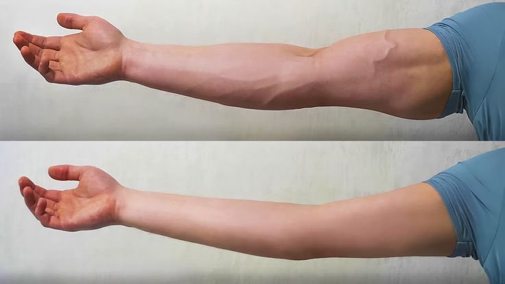 PathofWisdomx's tweet photo. 5 Workouts to have bigger biceps 💪

-Thread- https://t.co/pxquBudCrE