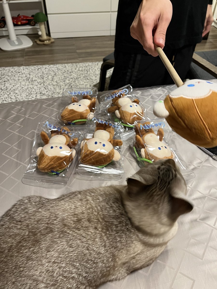 Maichaiphuchai's tweet photo. น่ารักไปหมดด 🐵 🐱 

#PONPON
#Almondbabybigboy https://t.co/z0l2LaPC4G