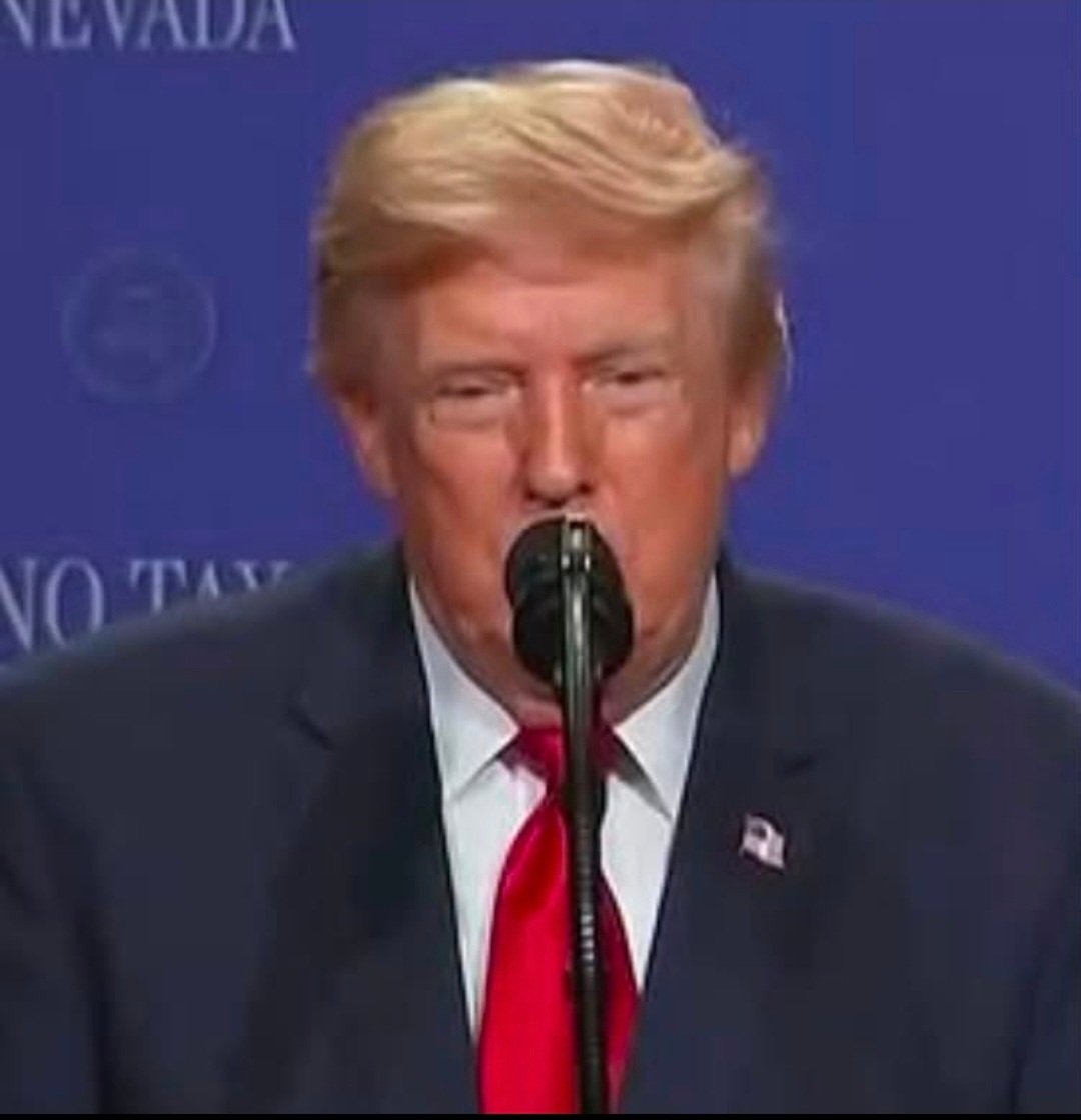 AzPetrich's tweet photo. The thing about Trump's stupid new wig is that he raped and trafficked children with Jeffrey Epstein, and the entire Republican Party is covering it up. https://t.co/3e364dQpCq