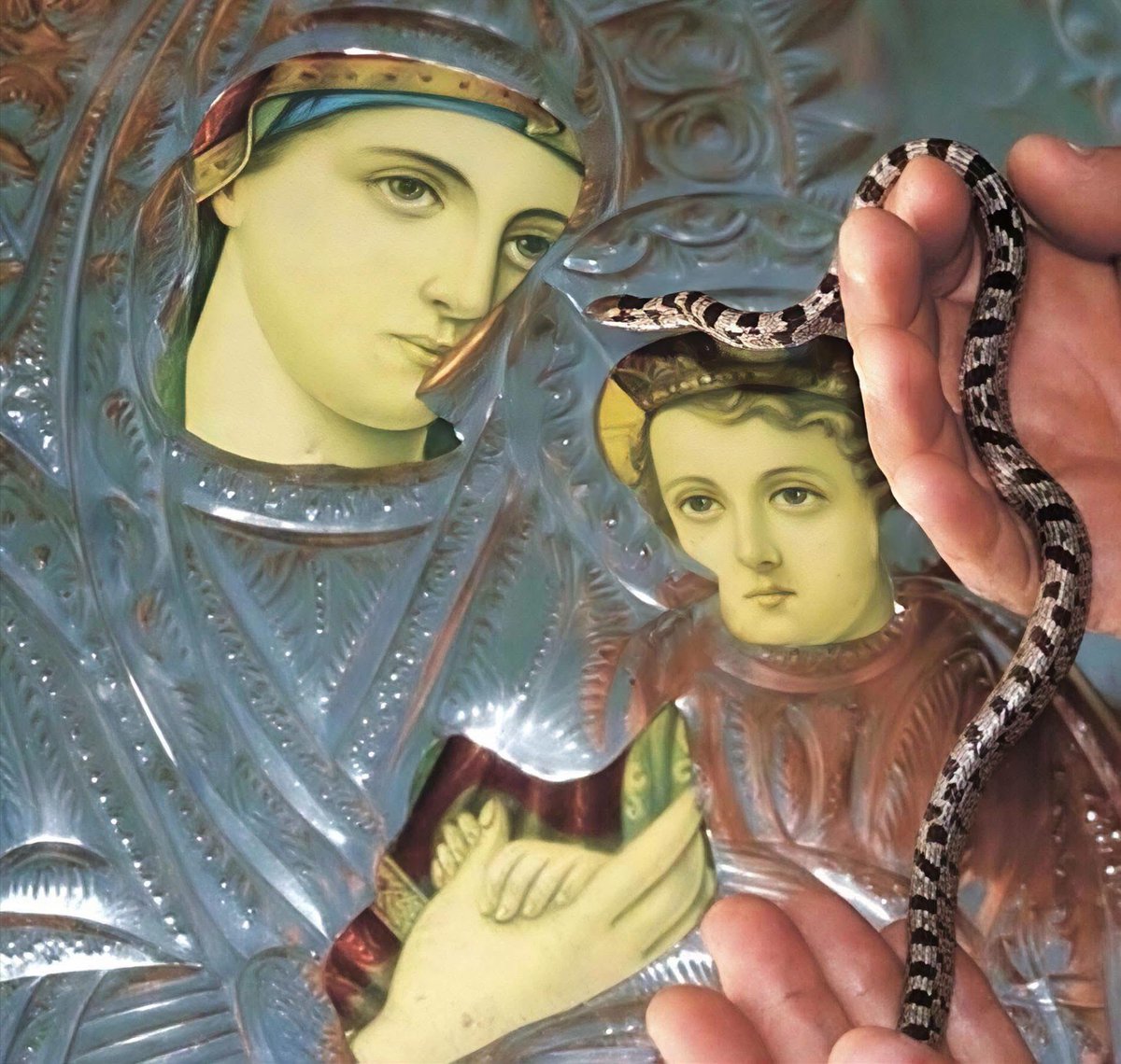 Fragbaza's tweet photo. THE SNAKES OF THE VIRGIN MARY IN KEFALONIA

From today until August 15th, when the Dormition of the Most Holy Mother of God is celebrated in Greece, the Kefalonian snakes or "holy snakes of the Virgin Mary" (agiofides) appear on the island of Kefalonia in the Church of the Dormition of the Most Holy Mother of God.

Interestingly, the snakes continued to appear on the feast of the Dormition of the Most Holy Mother of God even after the Greek Church accepted the new calendar and the feast of the Dormition was moved 13 days earlier.

In the eastern region of Kefalonia (an island in the Ionian Sea), not far from the village of Markopoulo, there is a small church dedicated to the Dormition of the Most Holy Mother of God. Here, for many years, once a year on the feast of the Dormition of the Most Holy Mother of God, something unusual happens:

From the Feast of the Transfiguration, snakes appear inside and outside the church.

The locals call them the snakes of the Most Holy Mother of God. Every day the number of snakes increases, and on the eve of the Dormition, they are present throughout the entire surrounding area. During those days, the residents of the village of Markopoulo go through the valley on whose slope the church is located and collect the snakes in order to bring them to the Most Holy Mother of God.

According to an 18th-century tradition, when pirates attacked the village, the nuns prayed to the Virgin Mary to save them, and instead, snakes appeared and drove the invaders away.

Where these snakes come from and where they disappear to after the holiday—no one knows.

It is a great mystery to everyone.

During the all-night vigil service, the snakes slither freely among the people: over the stasidia (monastic stalls) and analogia (lecterns), completely unafraid of anyone.

If a snake gets into your shirt—do not be afraid!