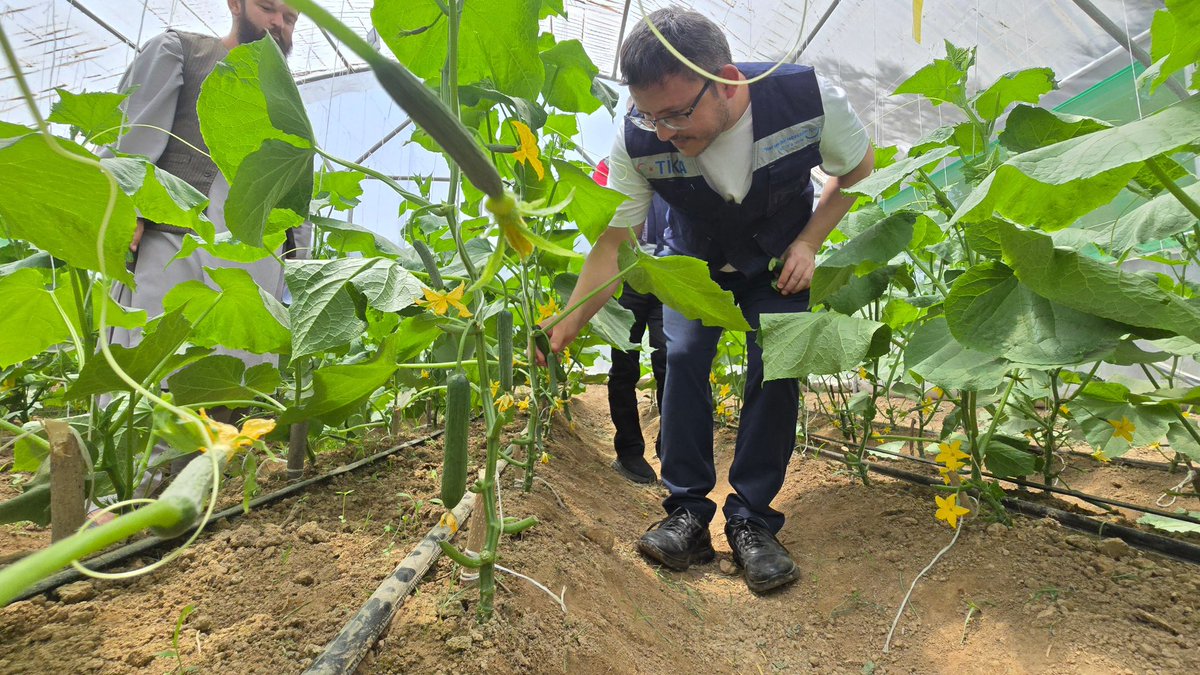 tika_eng's tweet photo. We are implementing sustainable development projects for families in northern Afghanistan whose livelihoods depend on agriculture and livestock.

🚰 In Baghlan and Faryab provinces, we established training and demonstration greenhouses equipped with modern irrigation systems.

🚰 In the Khwaja Dokoh and Mardyan districts of Jowzjan Province, we commissioned clean water supply systems.

Through these projects, we are strengthening agricultural production, promoting the efficient use of water resources, and improving access to safe drinking water for thousands of people.