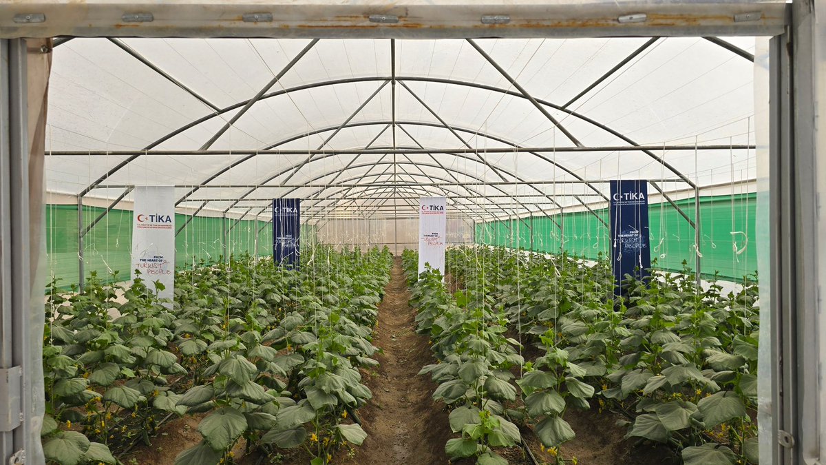 tika_eng's tweet photo. We are implementing sustainable development projects for families in northern Afghanistan whose livelihoods depend on agriculture and livestock.

🚰 In Baghlan and Faryab provinces, we established training and demonstration greenhouses equipped with modern irrigation systems.

🚰 In the Khwaja Dokoh and Mardyan districts of Jowzjan Province, we commissioned clean water supply systems.

Through these projects, we are strengthening agricultural production, promoting the efficient use of water resources, and improving access to safe drinking water for thousands of people.