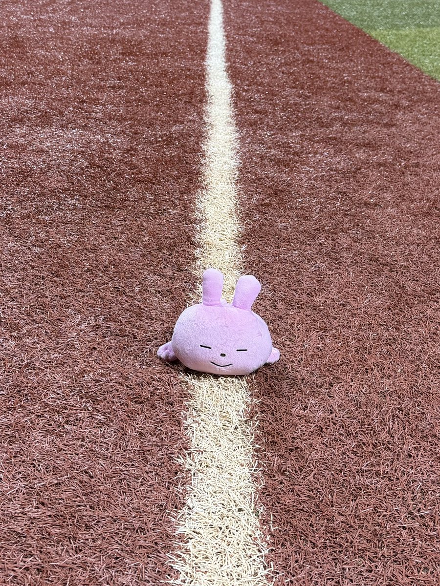 yama300000's tweet photo. ラブラビ3塁回って一気にホームイン！

#またこのシリーズ始めるのか💢 https://t.co/0ynNvNZqrG