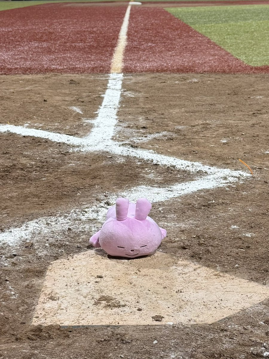 yama300000's tweet photo. ラブラビ3塁回って一気にホームイン！

#またこのシリーズ始めるのか💢 https://t.co/0ynNvNZqrG