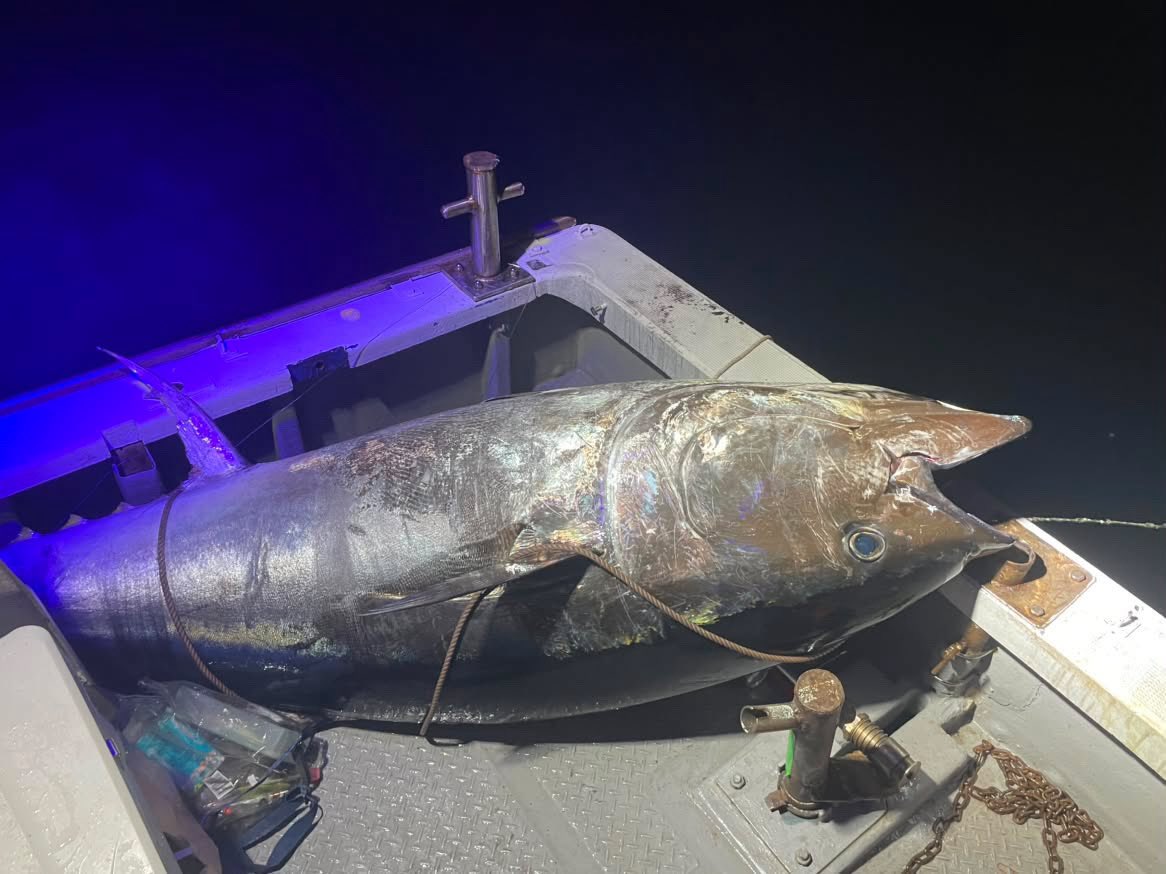 masahiro0961091's tweet photo. マサポップ②230mm釣果報告頂きました。

おめでとうございます。 https://t.co/ZA1xlVVD3r