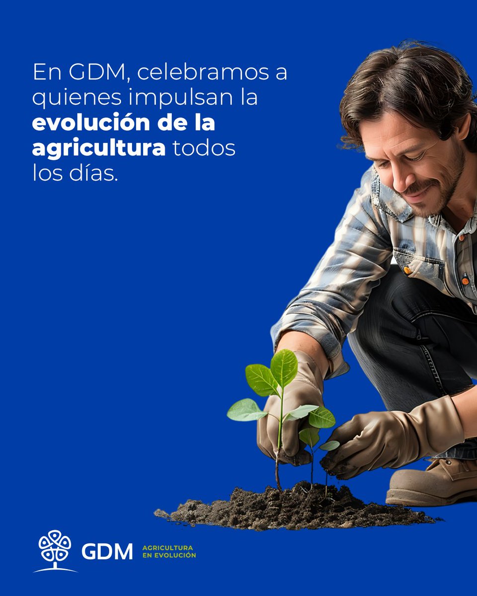 GDMSeeds's tweet photo. El  trabajo de los ingenieros agrónomos es fundamental: interpretan cada ambiente, acompañan al productor en la toma de decisiones y transforman el conocimiento en soluciones concretas para el campo.En este Día del Ingeniero Agrónomo, queremos reconocerlos a ellos. 
¡Feliz día!🌱 https://t.co/Xrcgs3VUkw
