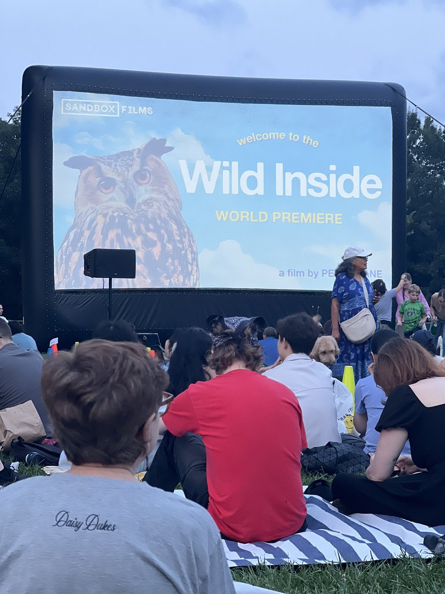 kymtweets's tweet photo. I celebrated Natl. Owl Awareness Day starting a week early. First the screening in the Park, then a showing in my city. What a treat to be with others that laughed, cried, and loved Flaco. ‘Wild Inside ‘ is out ~ go see it. 🦉 https://t.co/8iIe8DwWAK