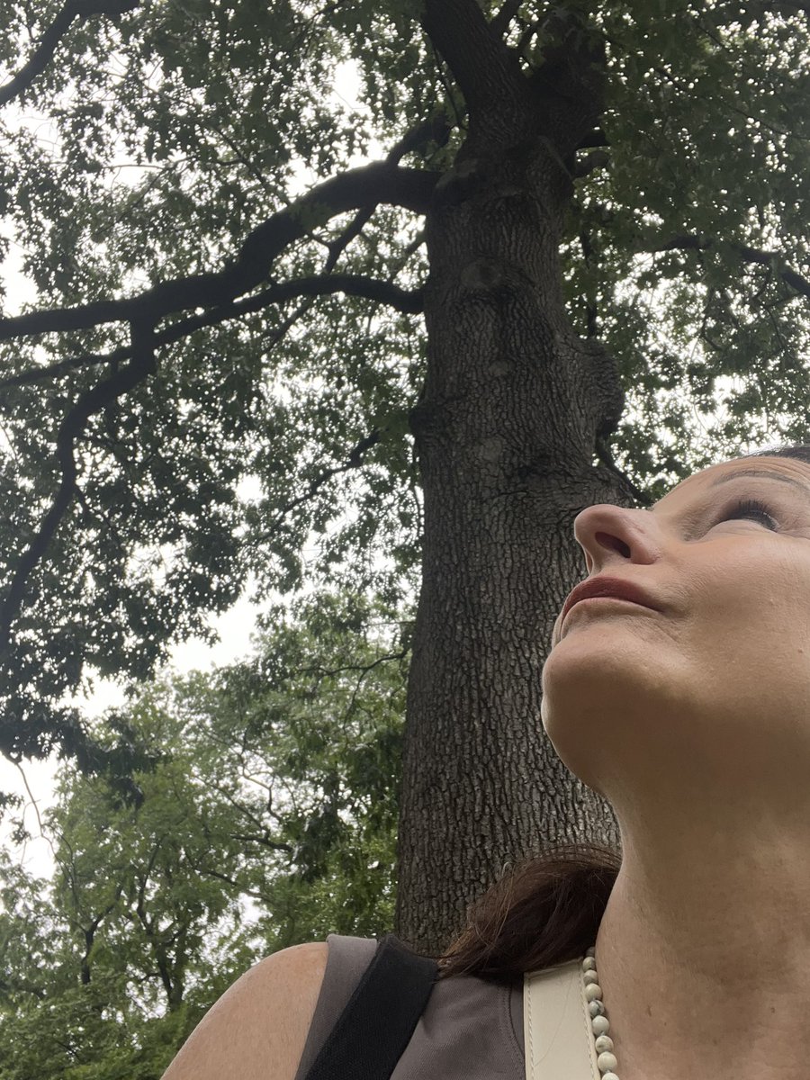 kymtweets's tweet photo. I celebrated Natl. Owl Awareness Day starting a week early. First the screening in the Park, then a showing in my city. What a treat to be with others that laughed, cried, and loved Flaco. ‘Wild Inside ‘ is out ~ go see it. 🦉 https://t.co/8iIe8DwWAK