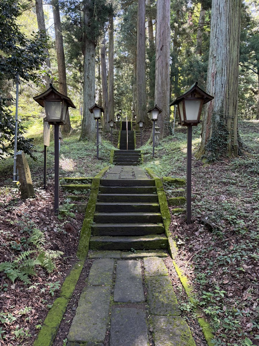 4murakami's tweet photo. 朝、時間があったのでスピ活✨️
奥州総鎮守白河神社⛩
白河の関跡にある神社✨️
周りの木々が護るように本殿がありました。
#ぽむスピ活 🦊 https://t.co/Tf3bzRcPCP