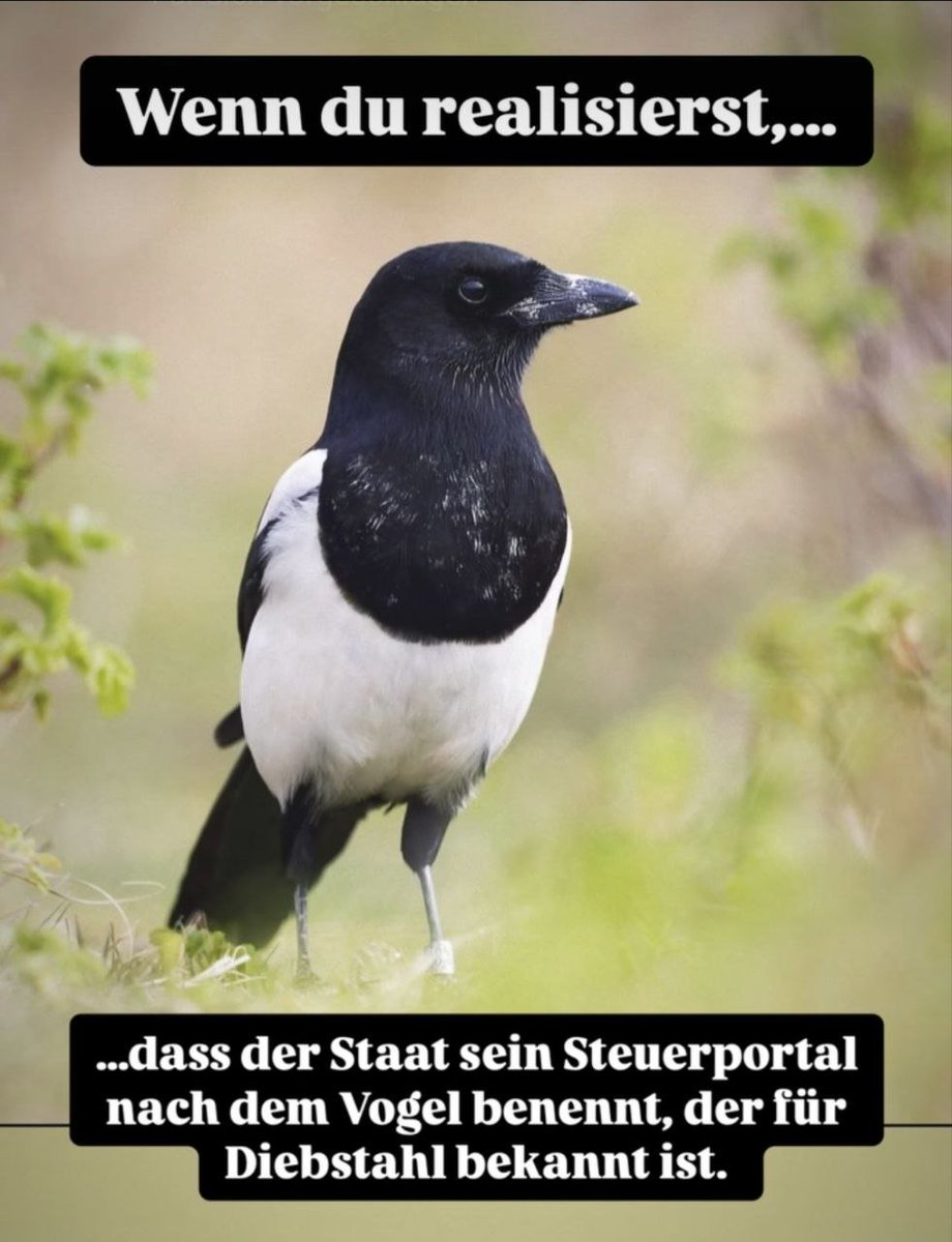 Stinktier18000's tweet photo. 🤣🤣👍 https://t.co/4MdHuF4ZPB