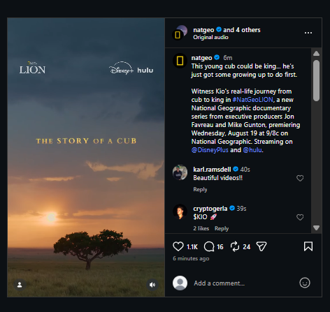 Goated_Dev2's tweet photo. they literalyl just call it

"The Story of a Cub" and its named Lion(look on the top right)

https://t.co/uNa1Sgagok https://t.co/GREY6zwNyt