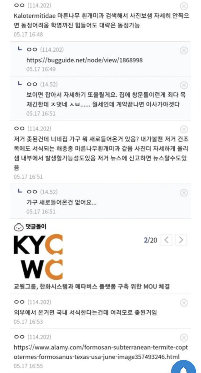 water_me10n_'s tweet photo. 여기 웃긴게 글 하나로 환경부 하나 뒤집어버림ㅋㅋㅋㅋㅋㅋㅋㅋㅋ

한국에 나오면 안되는 흰개미 나온 썰… https://t.co/Ru5ZO6Ze5c