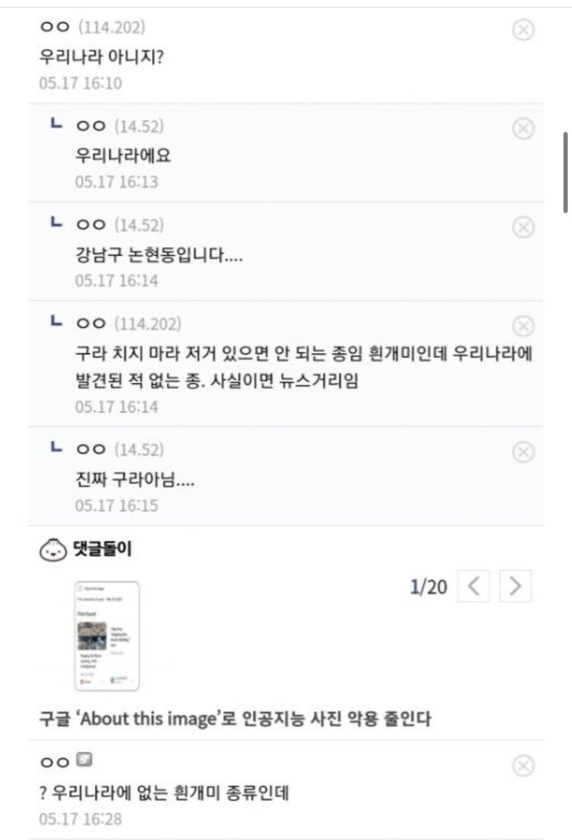 water_me10n_'s tweet photo. 여기 웃긴게 글 하나로 환경부 하나 뒤집어버림ㅋㅋㅋㅋㅋㅋㅋㅋㅋ

한국에 나오면 안되는 흰개미 나온 썰… https://t.co/Ru5ZO6Ze5c