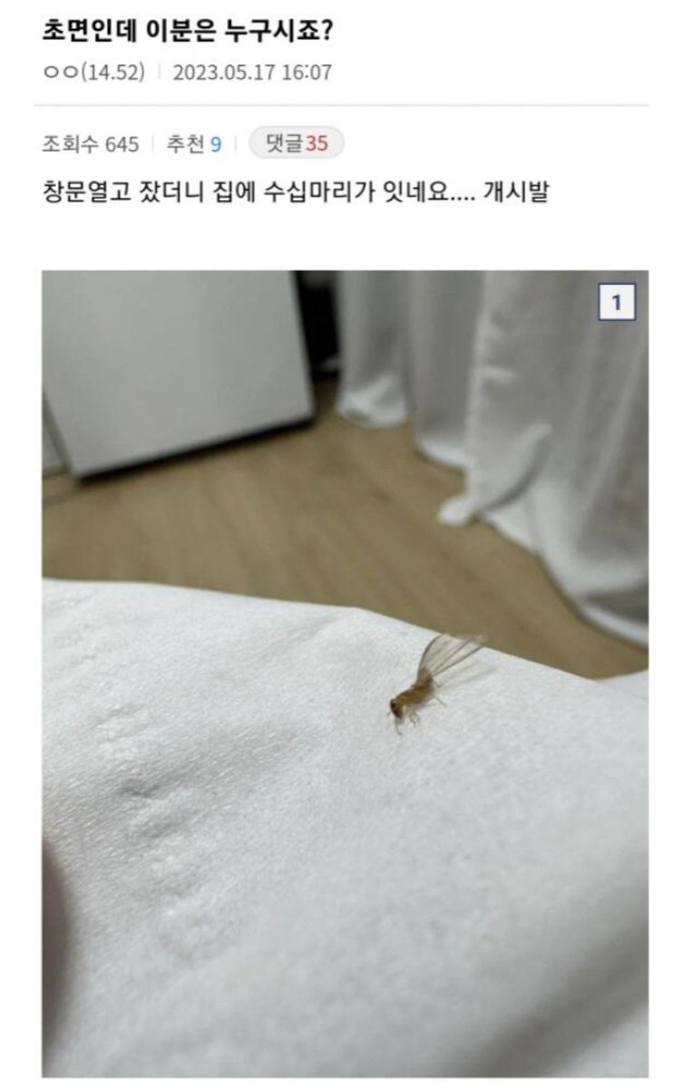 water_me10n_'s tweet photo. 여기 웃긴게 글 하나로 환경부 하나 뒤집어버림ㅋㅋㅋㅋㅋㅋㅋㅋㅋ

한국에 나오면 안되는 흰개미 나온 썰… https://t.co/Ru5ZO6Ze5c