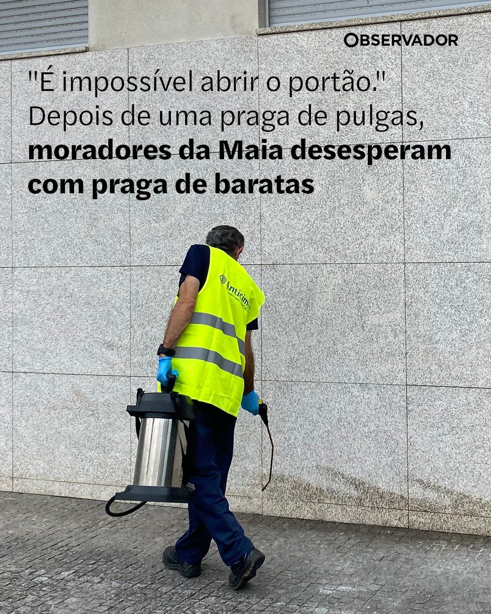 observadorpt's tweet photo. Situação é recorrente, mas este verão terá atingido maiores proporções. Moradores utilizam todos os meios ao seu alcance para impedir entrada de baratas em casa. Câmara da Maia reforça desinfestação.

Saiba mais no link nos comentários. 

#Praga #Maia #Baratas #Pulgas https://t.co/a3weYjkFuj