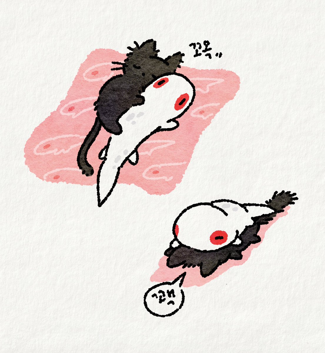 mayo_zoooa's tweet photo. 잫솔 🦎🐈‍⬛ https://t.co/9hJUAJURiv