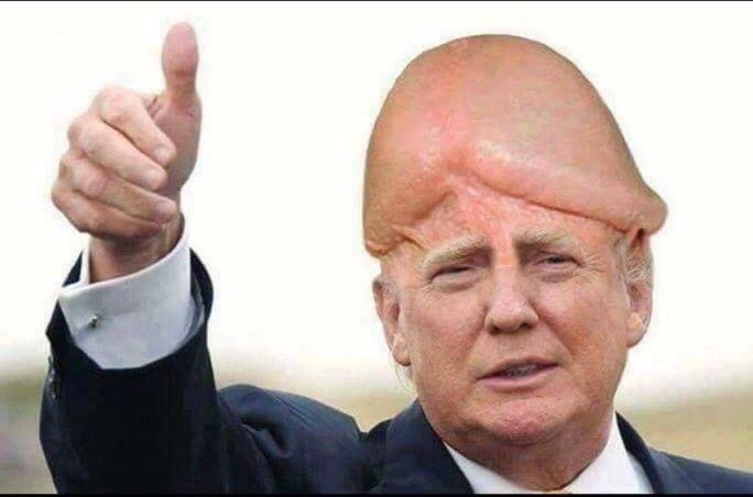 drcumskin7's tweet photo. @VStroop73949 @republicofpoo https://t.co/rkufKTl2gI