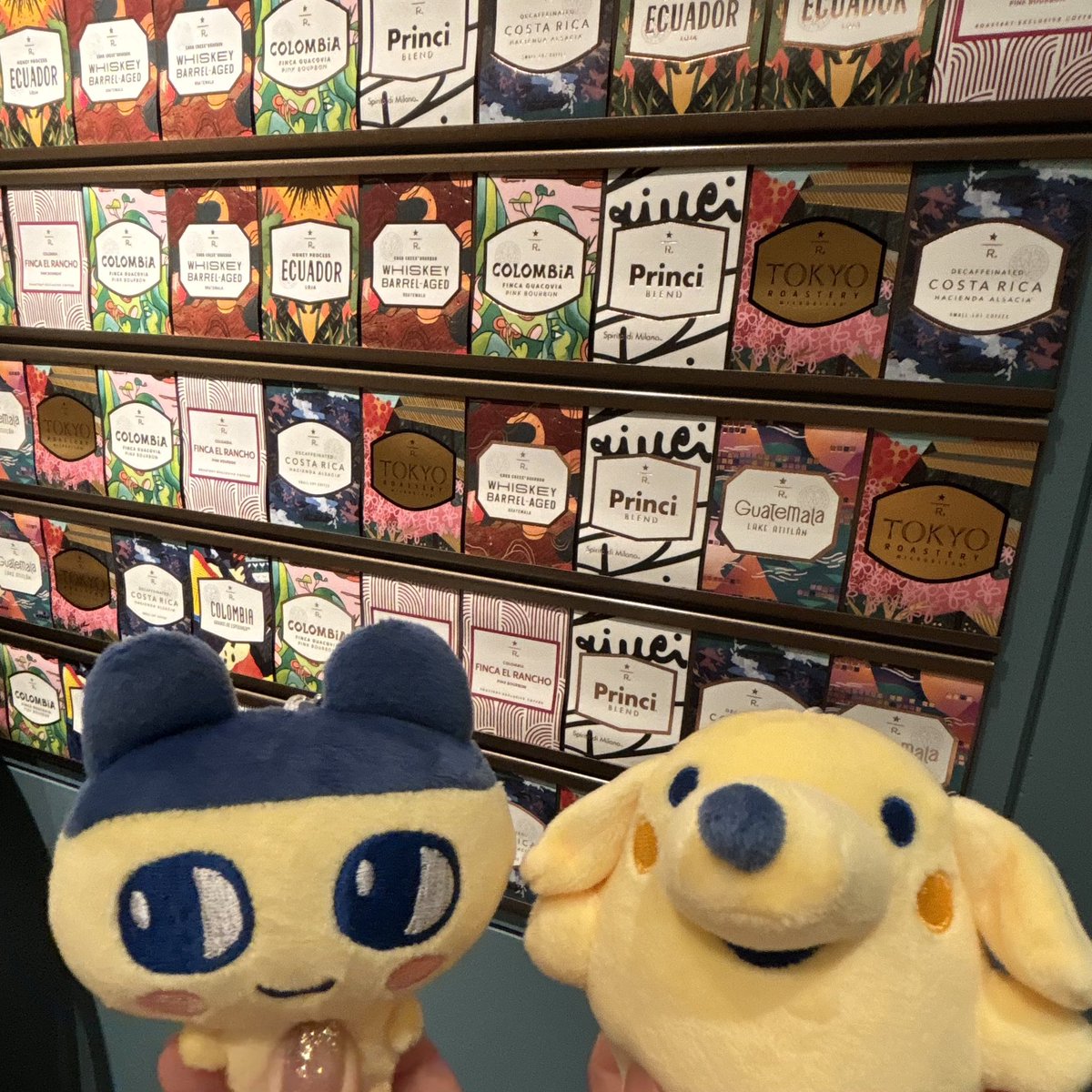 olaf8_10's tweet photo. スタバのリザーブってとこにはじめて行った✨
クロワッサンがサクサクでおいしかった🥰 https://t.co/SWQLszX2VM