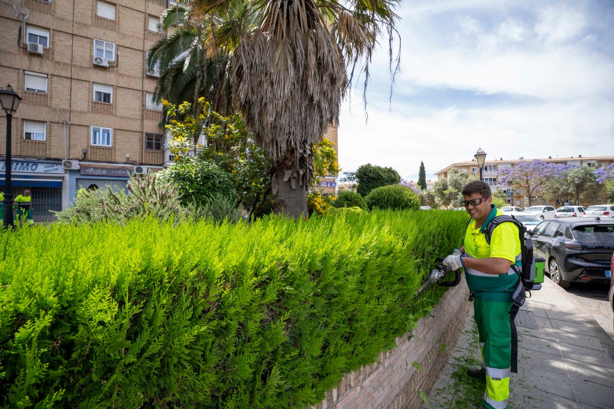 MairenaAljarafe's tweet photo. 👷 12 profesionales nuevos se suman al servicio.

🚜 Nueva maquinaria: cortasetos, sopladores, desbrozadoras, motosierras y vehículos especializados. https://t.co/HRsLANNQUA