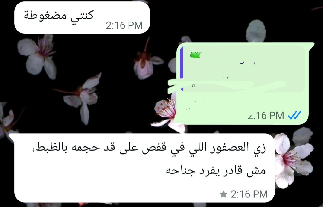 manalsoj2's tweet photo. بقول لصاحبتي إن مكنتش أنا في العلاقة دي قالتلي وصف مثالي للي كنت فيه ، والله بجد عندها حق مقدرتش أفرد جناحاتي. https://t.co/Ix8AA5ejt8