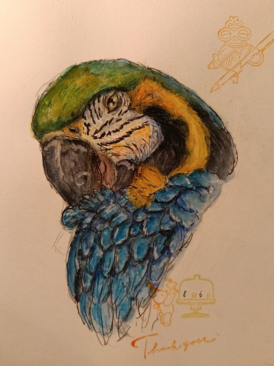 ルリコンゴウインコ 手描き絵画 アート ルリコンゴウインコ 手描き絵画 アート アート・写真 ルリ