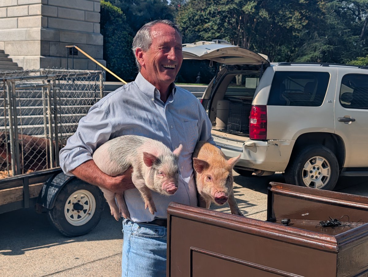 IAmNickReynolds's tweet photo. Mark Sanford has pulled up to the statehouse with a pig in tow. 

Basically every reporter in the city (and some statehouse employees) are here.

One pig not loving it. (He's better now) https://t.co/aAi2ebMLY9